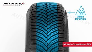 Обзор всесезонной шины Michelin CrossClimate SUV ● Автосеть ● [upl. by Iong]