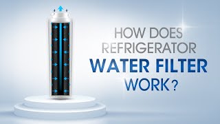 How Does a Refrigerator Water Filter Work [upl. by Arednaxela960]