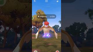 Found a Pidgeotto in Pokemon go pokemongo [upl. by Ahtaga]