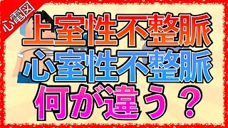 イラストで学ぶ医学！「上室性不整脈と心室性不整脈の違いとは？」QRS幅の広い狭いとは正常な心電図の読み方上室と心室の見分け方 [upl. by Akinom]