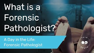 What is a Forensic Pathologist  A Day in the Life of a Forensic Pathologist [upl. by Cherrita]