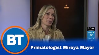 Primatologist Mireya Mayor [upl. by Aisekal]