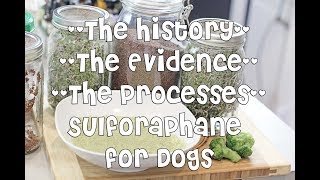 Evidencebased benefits of sulforaphane SFN for dogs [upl. by Pate]