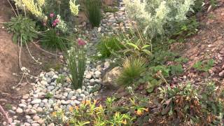 Swale amp Rain Garden How To [upl. by Annaet]