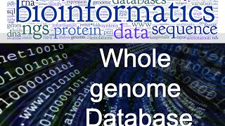 Bioinformatics lecture 10 whole genome database practical bioinformatics [upl. by Dorlisa]