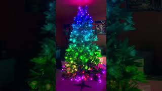 Twinkly tree yard sell find 2018 model pre Christmas rough set up [upl. by Rogerio]