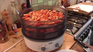 How to Dry amp Dehydrate Chili Peppers Easy Guide [upl. by Hnaht]