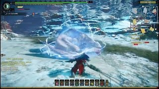 Monster Hunter Online CBT4  Longsword Fight Boss Khezu 2015 [upl. by Allemap]