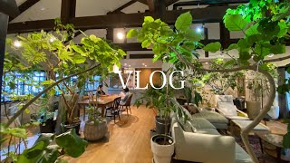 【VLOG】植物屋の植物に囲まれた実家を大公開。cotoha [upl. by Treulich699]