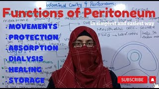 Functions of Peritoneum I Abdominal cavity and Peritoneum ayeshamedicaleducation [upl. by Krause7]