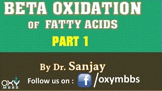 Beta Oxidation of Fatty Acids Part 1 [upl. by Enitsenre]