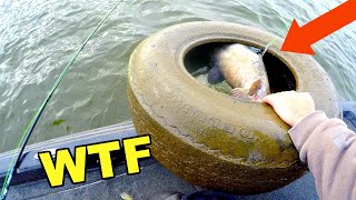 Most UNBELIEVABLE Fish Catch EVER Fish Caught in a TIRE [upl. by Cindy]