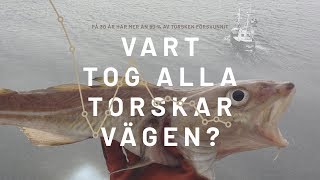 Vart tog alla torskar vägen Trailer [upl. by Ebby]