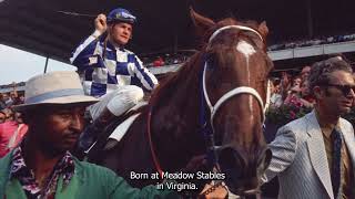 Secretariats Legendary Triple Crown Victory Relive the 1973 Belmont Stakes [upl. by Templeton]