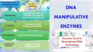 Manipulative Uses of Enzymes  In Detail  Enzymes used in Molecular Biology  Enzyme 39 [upl. by Erdei]