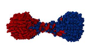 Simulated Mechanochemical Indentation of aspirin and meloxicam [upl. by Saraann]