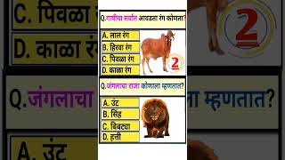 GK Marathi Questions trending shorts gk marathi quiz [upl. by Adrianne]