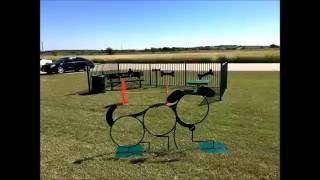 Dog Park Equipment Video [upl. by Maccarthy]