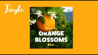 Where The Orange Blossoms Grow The Florida Song [upl. by Kline]