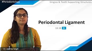 Periodontology  Gingiva amp Tooth Supporting Structures  Periodontal Ligament  NEET MDS  MERITERS [upl. by Sseb]