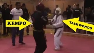 Kenpo vs Taekwondo  REAL FIGHT 2014 KO [upl. by Briny267]