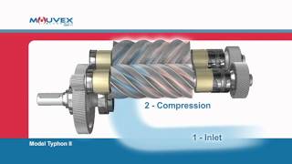 Screw Compressor Principle Mouvex Overview [upl. by Tomasina]