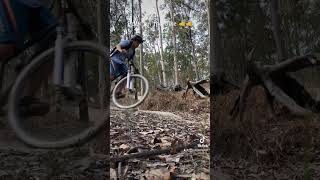 Had a blast at Nerang mtb trails on the hard tail ￼ [upl. by Conni]