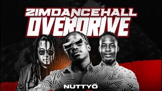 Nutty O on Zimdancehall Overdrive  The Cornerstone Mixtape nuttyovevo6815 [upl. by Llenrahc946]