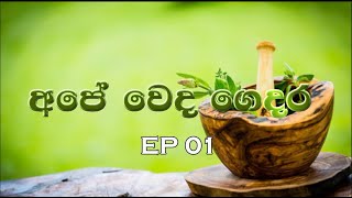 අපේ වෙද ගෙදර  EP 01 [upl. by Aikin185]