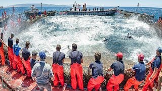 Everyone should watch this Fishermens video  Big Catch Hundreds Tons Fish With Modern Big Boat [upl. by Jobey]