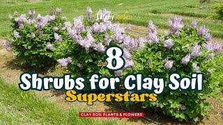 Top 8 Shrubs for Clay Soil Superstars 🌸🌷🌺  Gardening Ideas [upl. by Ahsieki]