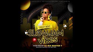 DJ MIX MASTER T PRESENTS SLOW JAM VIBES [upl. by Lu]