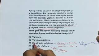 Salih YILDIRIM GELİŞİM PSİKOLOJİSİ dersi KARMA Sorular ile GENEL TEKRARI 2 Bölüm [upl. by Ayor]