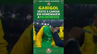 GABIGOL VESTE CAMISA DE PALMEIRENSE [upl. by Divadnahtanoj675]