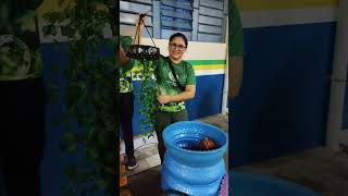 OFICINA DE EDUCAÇÃO AMBIENTAL♻️🌳 [upl. by Yarrum]