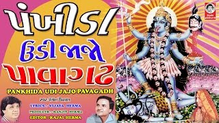 પંખીડા ઉડીજાજો પાવાગઢ  વીડિયો  Pankhida Udi Jajo Pavagadh  Studio Siddharth [upl. by Pelag263]