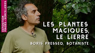 4  Le Lierre  Les plantes magiques [upl. by Rfinnej562]