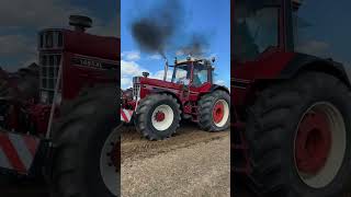 Case IH 1455XL Fullpull Sound Extrem [upl. by Urian344]