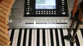 CLICK  SONG  Qongqothwane aus Südafrika  Yamaha Keyboard PSR s710 [upl. by Haimes]