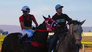 FINAL PALMARITO RACE TRACK EL CUBANITO CUADRA HERMANOS FLORES CAMPEÓN PURINA [upl. by Imiaj]