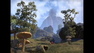 ESO Live Stream Witchmothers Bargain Event Day 4 continued [upl. by Aloysia]