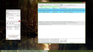 VOIP Wireshark Capture [upl. by Haldes]