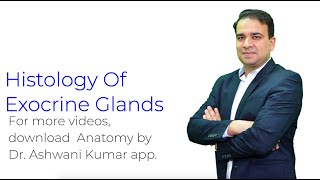 Histology of Exocrine Glands  Anatomy [upl. by Goulette394]