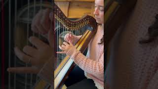 Greensleeves on harp 💚 [upl. by Oicram]