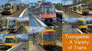 Transport for Sydney Vlog 565 Toongabbie Part 2  A Variety of Trains [upl. by Anjela202]