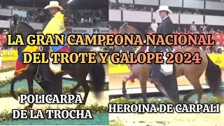 POLICARPA DE LA TROCHA Y HEROINA DE CARPALI Gran campeona del trote y galope de la nacional 2024 [upl. by Burt]