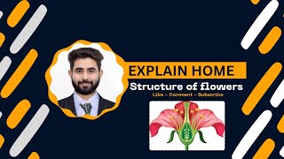 Structure of flowers Biology by Dk Sir [upl. by Mandal]