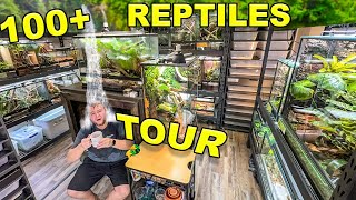 Reptile ROOM Tour March 2024 Over 100 pet reptiles [upl. by Allicirp661]