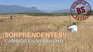 SORPRENDENTES CAMBIOS EN MI RANCHO BEEFMASTER SUPREMO EPISODIO 53 [upl. by Ontina243]