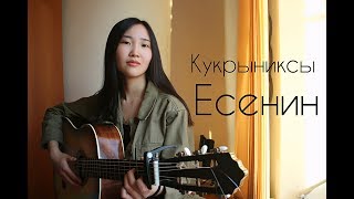 КУКРЫНИКСЫ  Есенин Пой же пой на проклятой гитаре Cover by Bain Ligor [upl. by Doi]